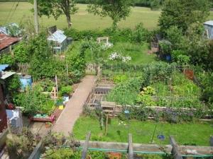 station_road permaculture